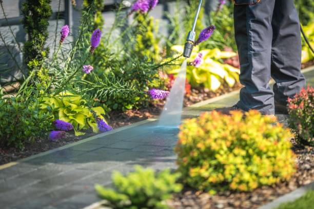 Best Dumpster Area Cleaning  in Woodinville, WA