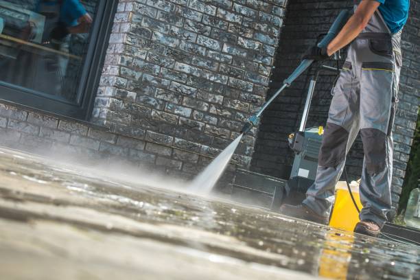 Best Animal Enclosure Cleaning  in Woodinville, WA