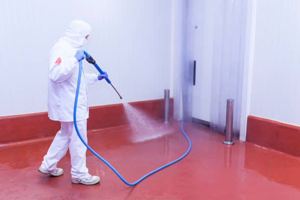 Boat and Dock Cleaning in Woodinville, WA