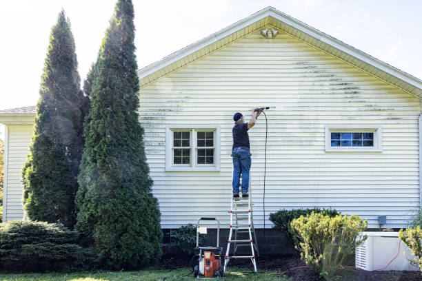 Best Pool Deck Cleaning  in Woodinville, WA